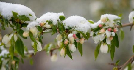 e235fd343c6aec551d714e37d9970e66_10.04.26_1