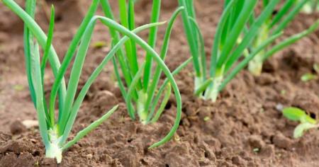 e295231ffc3bf5aa4e75136d8eeaefbd_02.03.26