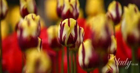 e3635ae7c0876a3fa5bd77fa90d8a64c_16.04.26_1