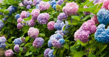 e4da8798836b9a5b0c8aa581d7cb42e0_18.04.26