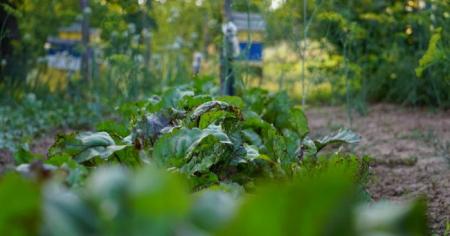 e566c37702862be8b3ca69beaabd7745_26.04.26_1