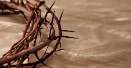 e6c6823f4ce79cf52b2821292218cd3d_06.04.26_1