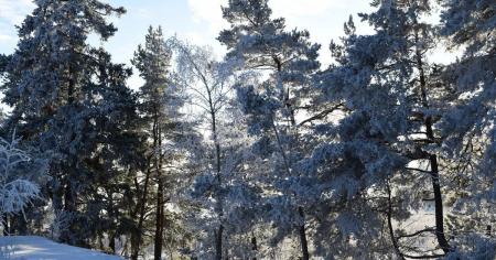 e751923258cec540d96ca8316b4df971_14.02.26