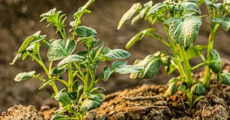 e7c76bf93f53488b03d9d8c17f14d29c_07.04.26-1