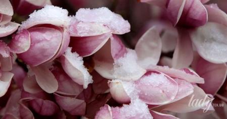 e86151effc02acbc136b12c4eefb7c4f_13.04.26_1