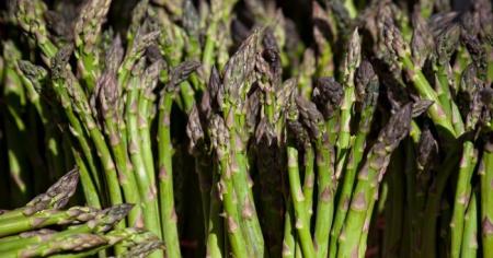 e8e547d9539be2b0cb5d0185321661dc_24.04.26_1