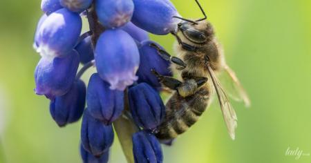 e9468d60cac685fe76e146ae0bdc5a49_19.04.26