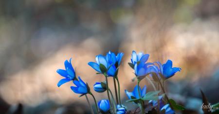 e99fa9c66433478b2d6f6d8d7278336c_25.03.26