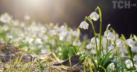 e9b9fff95ea1330fb0a2258c9f4bec74_05.03.26