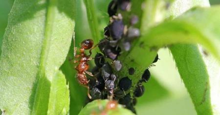 eaea555c9d030cbb6bcbed940d533f4f_26.04.26_1