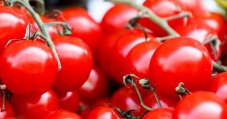 eb00f60af4754651496d007660aadd38_28.03.26_1