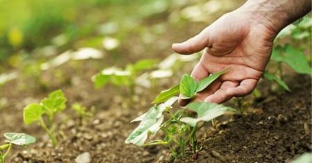 ed63ffaf2cf12074e0bc8c7467e42ff6_21.04.26_1