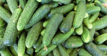 ede77311f771cdf23442f72bb990bfc7_23.03.26