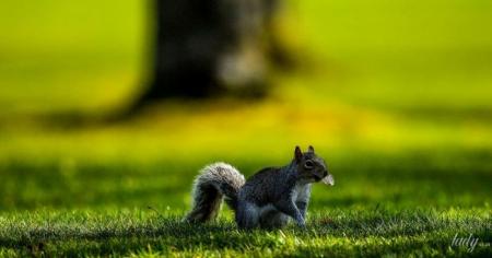 ef089959fd9c516889ad83e55150d1a1_27.03.26_1