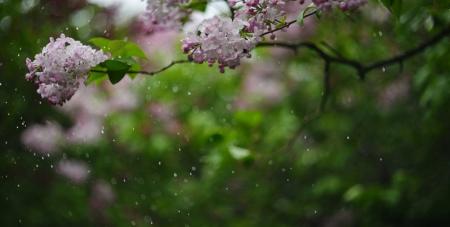 ezcjke-205b56491e93654f0ef2e69eb2152378_27.04.26