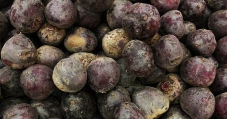 f08e5f48493ca485c9730d858eb1470b_01.04.26