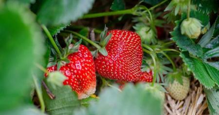 f0c6c1a43f7cf450f17ac93c9b2de43d_25.03.26_1