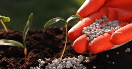 f2ae146bdf324d27f7e1e2023f76c1e9_21.0426_1