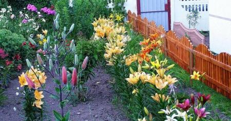 f2e79e75742057bd858c532427b4880b_11.04.26