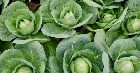 f4739851b3d1f2fb7a09057c16a49398_24.04.26_1