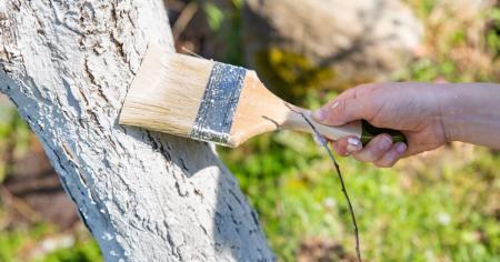 f57d33dfb44cf2493f4901f56831df4b_04.04.26