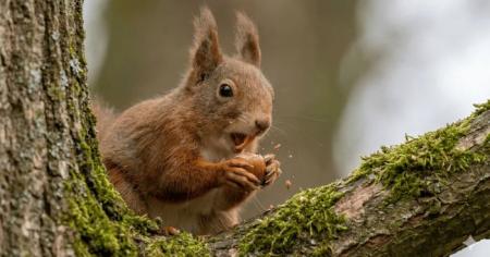 f970c7c26761491de49771ac7fab7bc1_25.03.26_1