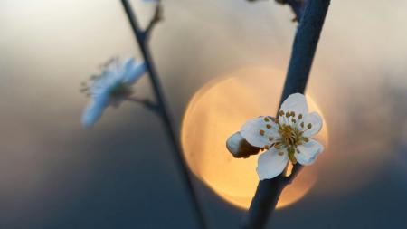 fa11162e1c0ea480a3c4e525942d44eb_1200x675_22.03.26