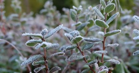 fbb8c990bfe0c7f719ec66f04950e545_10.04.26_1