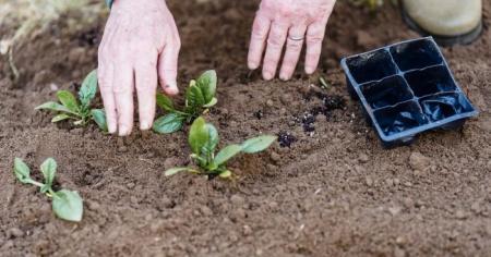 ff0a2de96287ad81918ba2060c508b3c_22.03.26_1