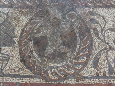 На фермерском поле в Великобритании нашли уникальную римскую мозаику