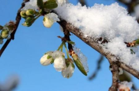 Отогреемся: в Украину идет настоящая весна