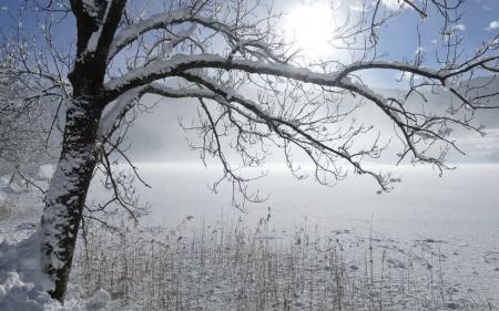 Зима 2022-2023: чи варто очікувати Україні аномальних холодів
