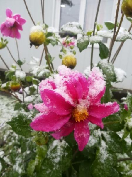 В Красноярском крае России выпал первый снег 