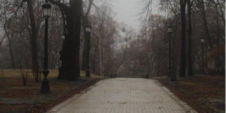 Местами до +12. Синоптик спрогнозировала в Украине значительное потепление и дожди
