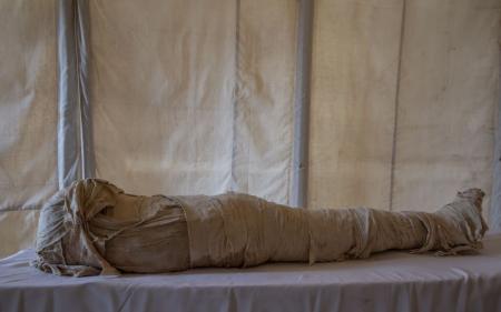 Вчений з’ясував, як давні єгиптяни видаляли мозок у мумій