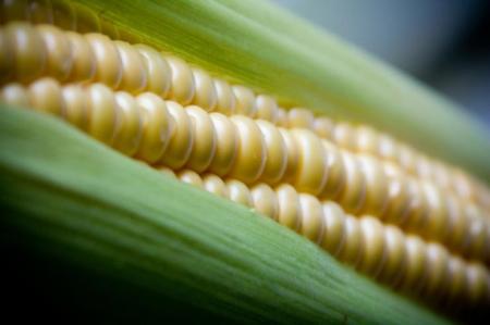 Почему необходимо включать кукурузу в свой рацион