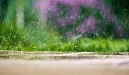 Кратковременные дожди и грозы — погода в Украине на 4 июля