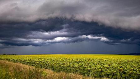 На 6 липня в Україні оголосили штормове попередження: негода охопить півкраїни