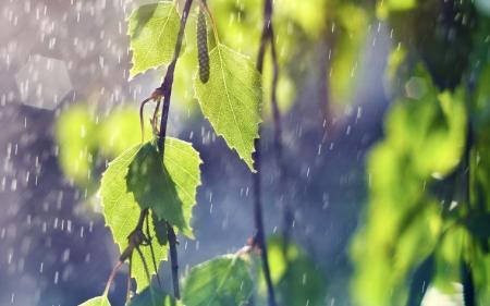 Дощі з грозами очікуються на більшій частині України: прогноз погоди на вихідні
