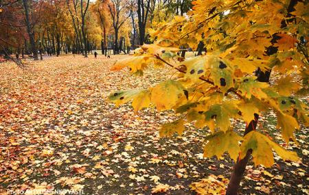 В Україну після 