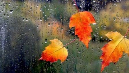 В Україні 2 листопада дощитиме у низці областей, вдень до 16°