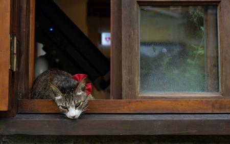 Прогноз погоди в Україні на 1 вересня: яким буде перший день осені