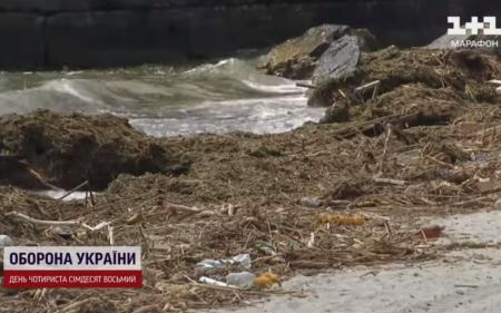 Найгірше ще попереду: екологи розповіли, чому вода у Чорному морі змінила колір, і на що чекати далі