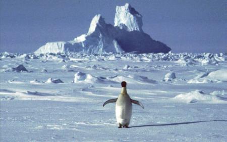 Уперше за мільйони років: в Антарктиді зафіксували небувале та загрозливе явище