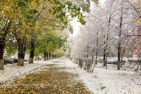 alleya-pogoda-sneg-derevo-listya-osen_30.10.23