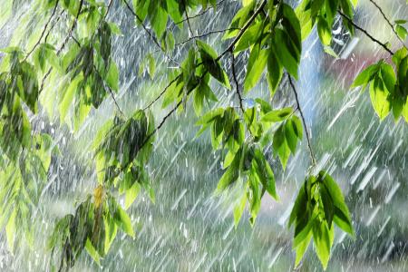 Українців попередили про дощі з грозами: які області заллє 9 червня