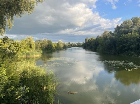 Повертається спека до +32: синоптики розповіли про погоду у Київській області на початку тижня