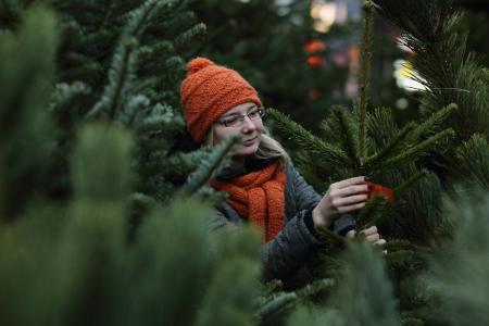 Где в Киеве купить елку?