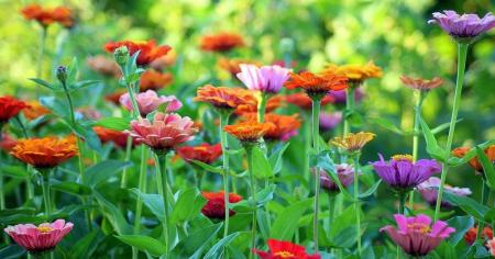 f26e25a70dd6f5b9fb113bb84e47ff3c_25.07.25