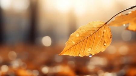 0ec3499611836c7fe3aed8475a326a9b_1200x675_14.10.26_1